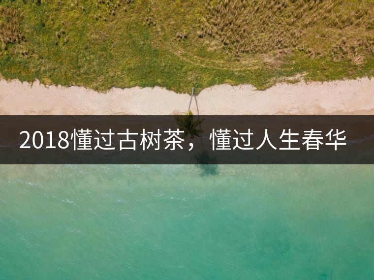 2018懂過(guò)古樹(shù)茶，懂過(guò)人生春華秋實(shí)！