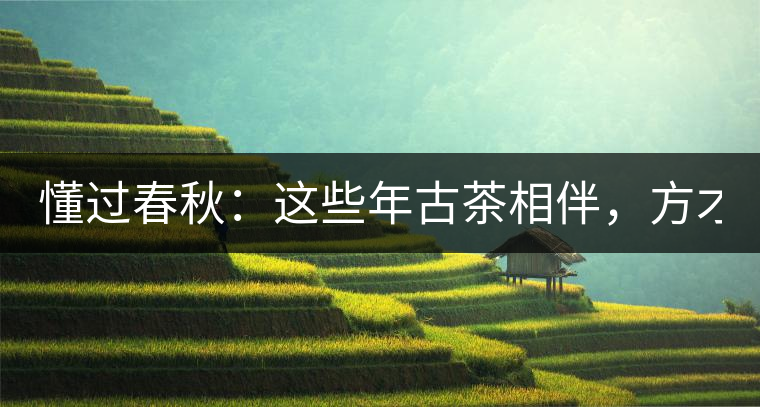 懂過春秋：這些年古茶相伴，方才懂過！