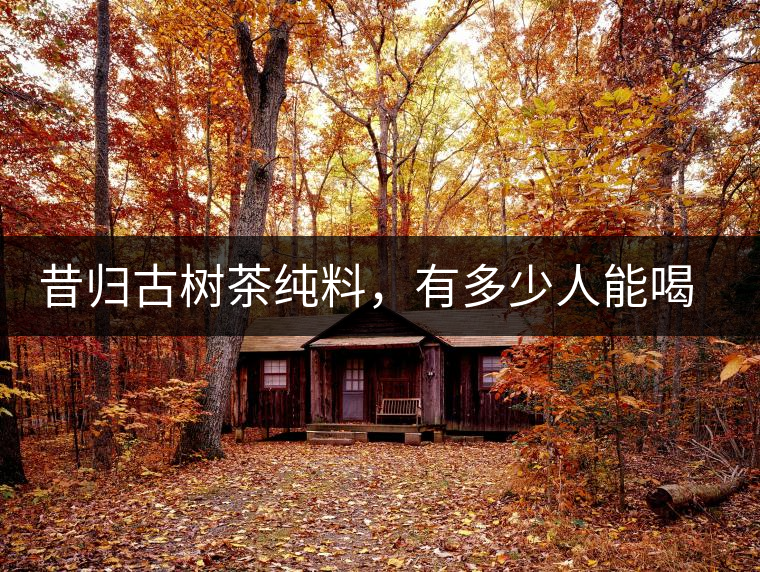 昔歸古樹茶純料，有多少人能喝到真品