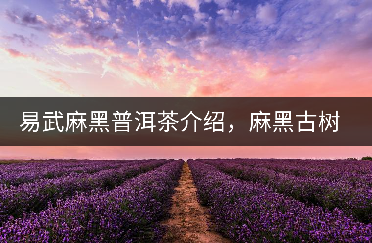 易武麻黑普洱茶介紹，麻黑古樹茶口感特點