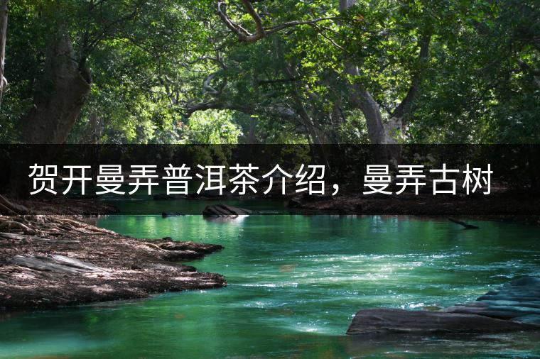 賀開曼弄普洱茶介紹，曼弄古樹茶口感特點