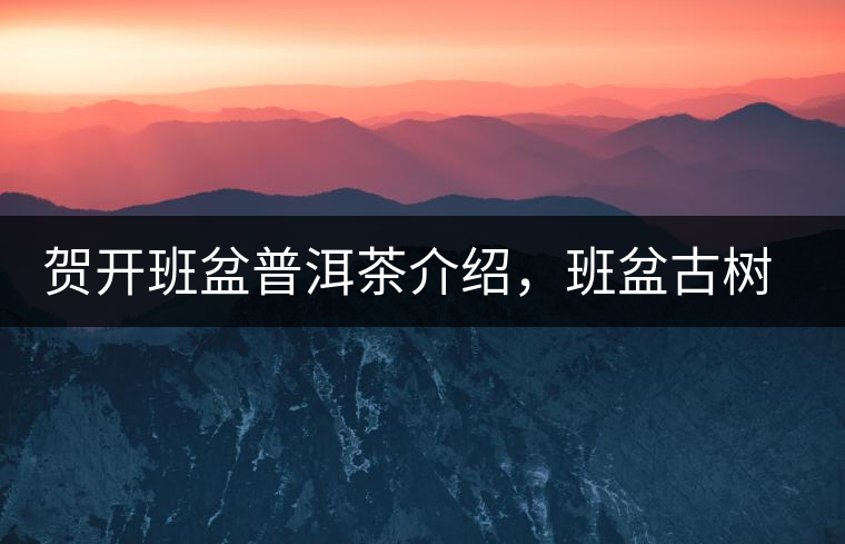 賀開班盆普洱茶介紹，班盆古樹茶口感特點