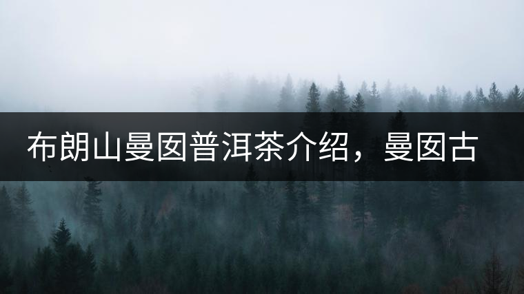 布朗山曼囡普洱茶介紹，曼囡古樹(shù)茶口感特點(diǎn)