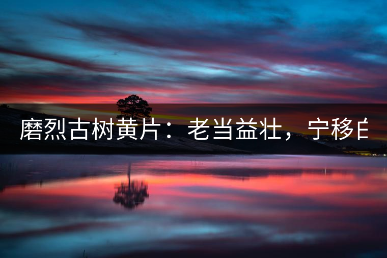 磨烈古樹(shù)黃片：老當(dāng)益壯，寧移白首之心！