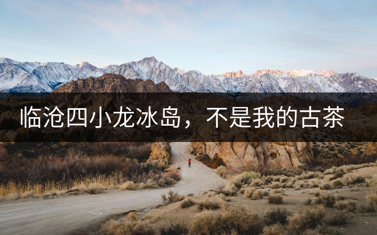 臨滄四小龍冰島，不是我的古茶夢