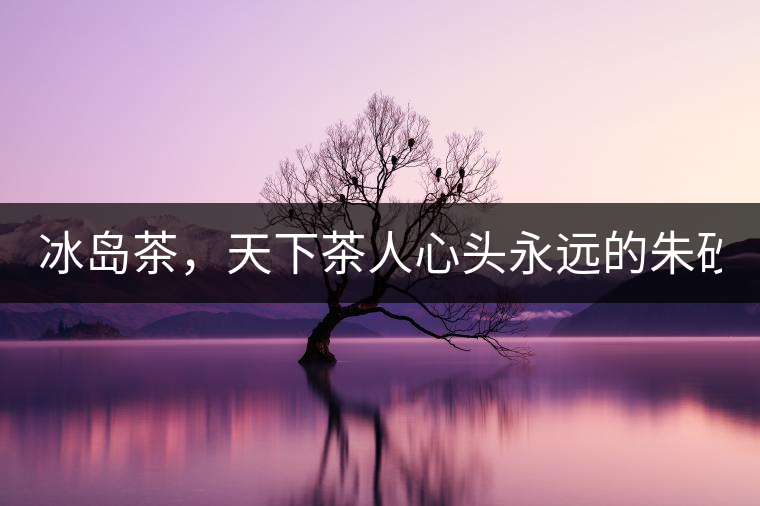 冰島茶，天下茶人心頭永遠(yuǎn)的朱砂痣！