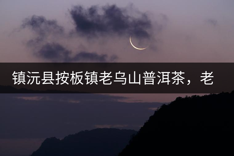鎮(zhèn)沅縣按板鎮(zhèn)老烏山普洱茶，老烏山古樹茶口感特點(diǎn)