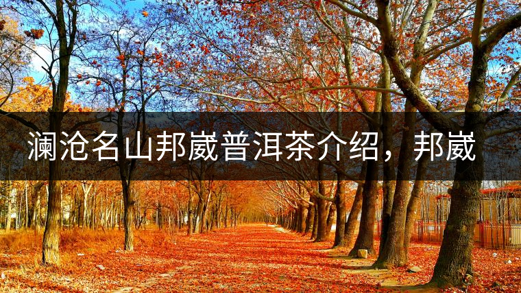 瀾滄名山邦崴普洱茶介紹，邦崴古樹茶口感特點