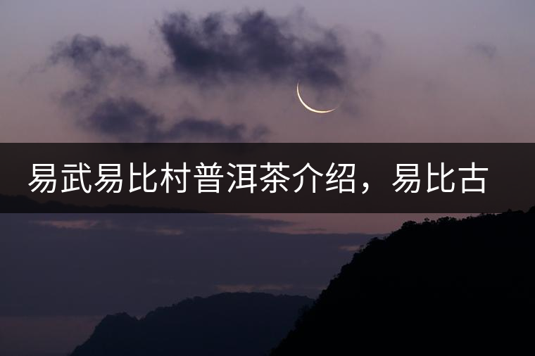 易武易比村普洱茶介紹，易比古樹茶口感特點(diǎn)