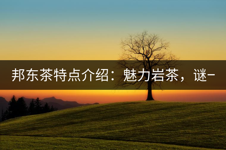 邦東茶特點介紹：魅力巖茶，謎一樣的邦東！