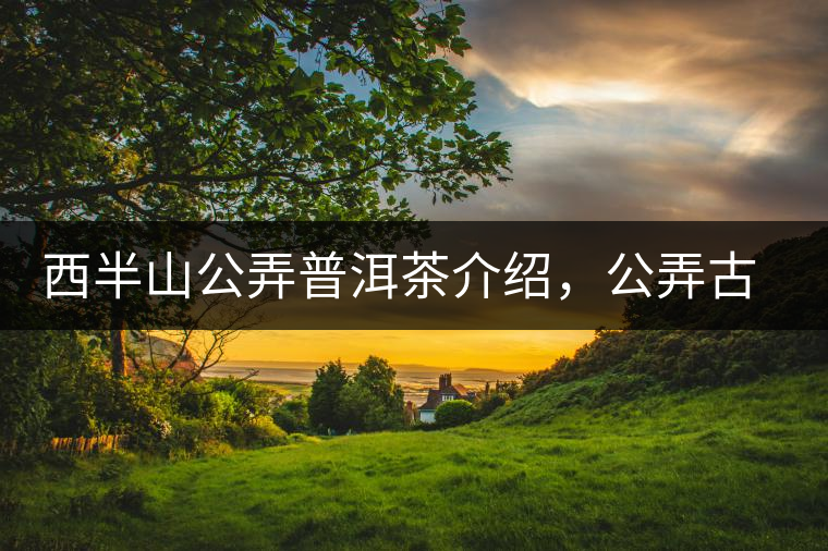 西半山公弄普洱茶介紹，公弄古樹茶口感特點(diǎn)