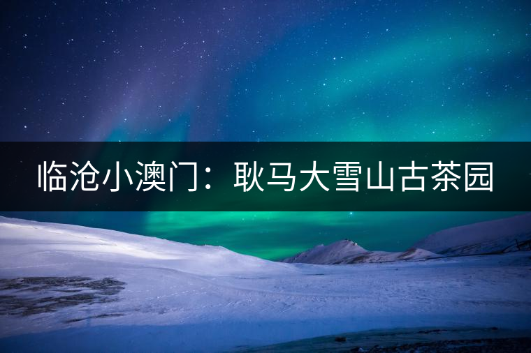 臨滄小澳門：耿馬大雪山古茶園