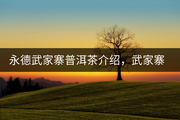 永德武家寨普洱茶介紹，武家寨古樹茶口感特點(diǎn)