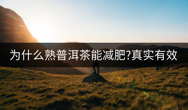 為什么熟普洱茶能減肥?真實(shí)有效嗎？