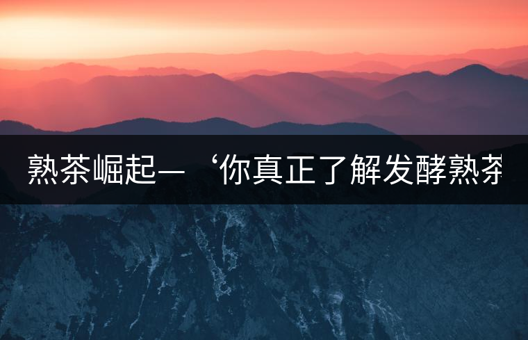 熟茶崛起—‘你真正了解發(fā)酵熟茶？’