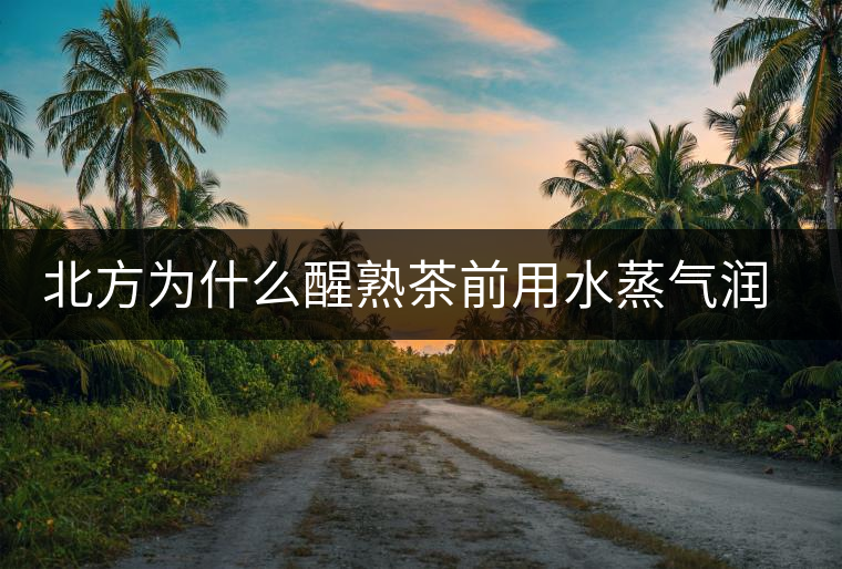 北方為什么醒熟茶前用水蒸氣潤一下？有何用處？