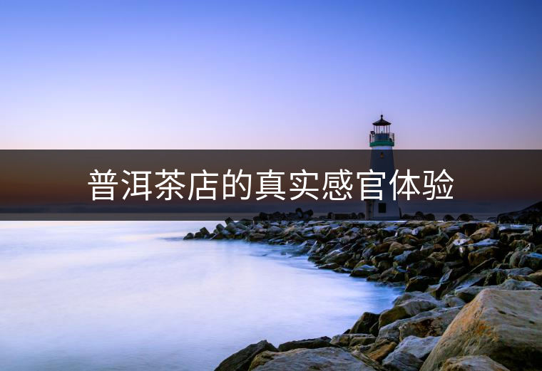 普洱茶店的真實感官體驗 普洱茶店的真實感官體驗