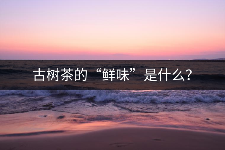 古樹茶的“鮮味”是什么？
