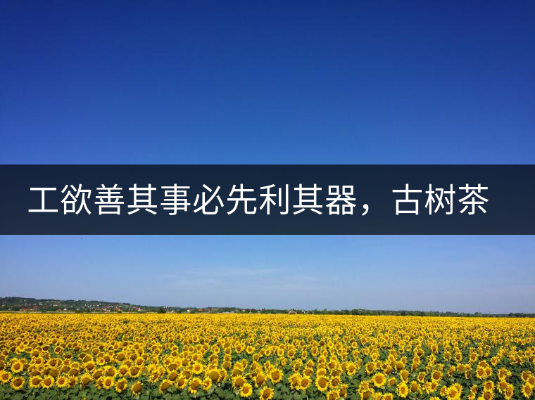 工欲善其事必先利其器，古樹茶用什么茶器最好？