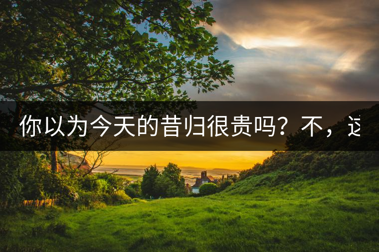 你以為今天的昔歸很貴嗎？不，這只是開始！