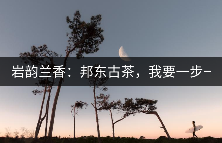 巖韻蘭香：邦東古茶，我要一步一步往上爬！