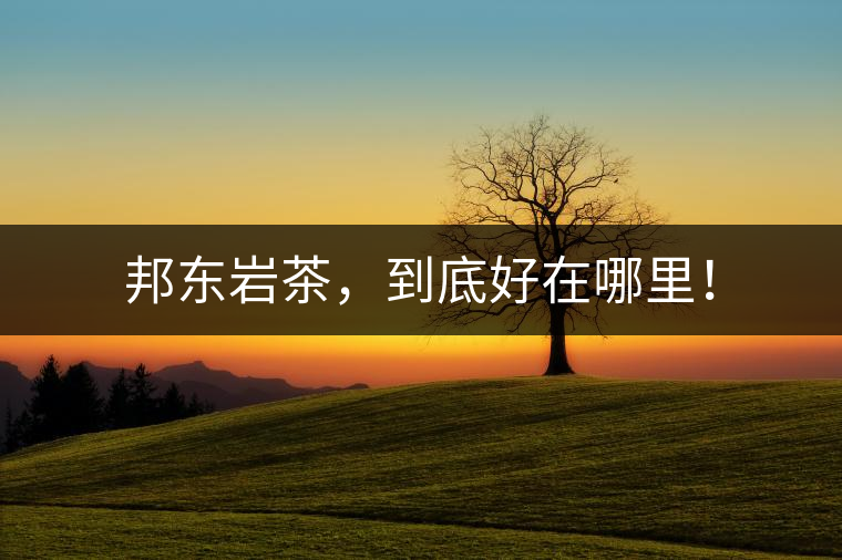 邦東巖茶，到底好在哪里！