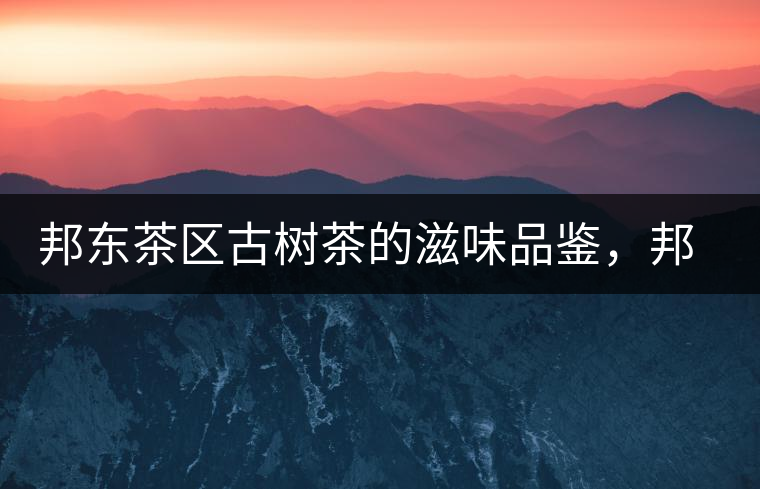 邦東茶區(qū)古樹茶的滋味品鑒，邦東普洱茶特點(diǎn)