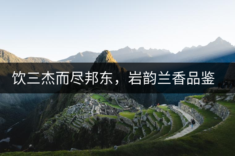 飲三杰而盡邦東，巖韻蘭香品鑒：生于山石上，韻味正當(dāng)