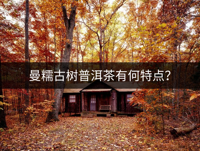 曼糯古樹(shù)普洱茶有何特點(diǎn)？