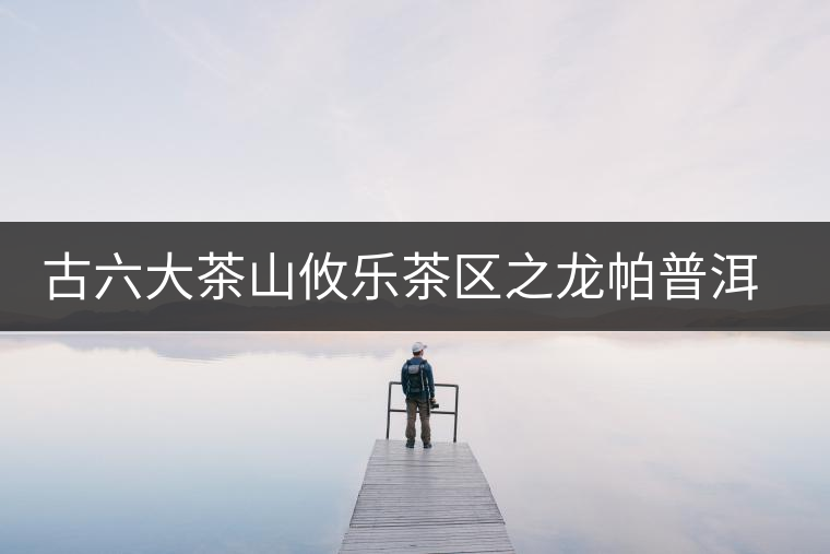 古六大茶山攸樂茶區(qū)之龍帕普洱茶 古六大茶山攸樂茶區(qū)之龍帕普洱茶