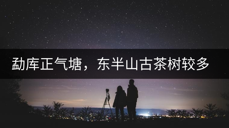 勐庫(kù)正氣塘，東半山古茶樹(shù)較多的寨子