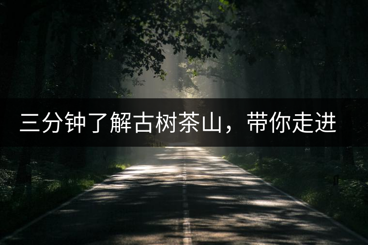 三分鐘了解古樹茶山，帶你走進西蒙佛殿山