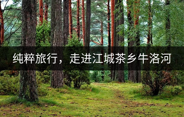 純粹旅行，走進江城茶鄉(xiāng)牛洛河