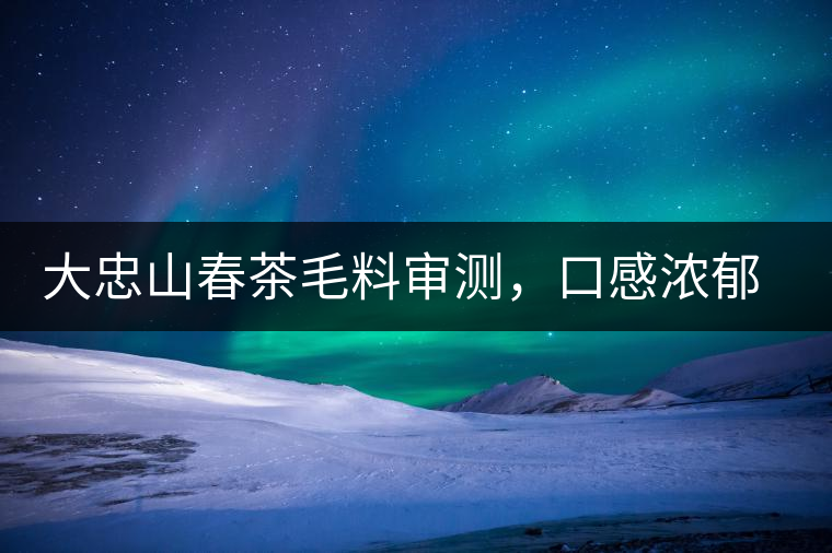 大忠山春茶毛料審測(cè)，口感濃郁花香與甜潤口感相得益彰