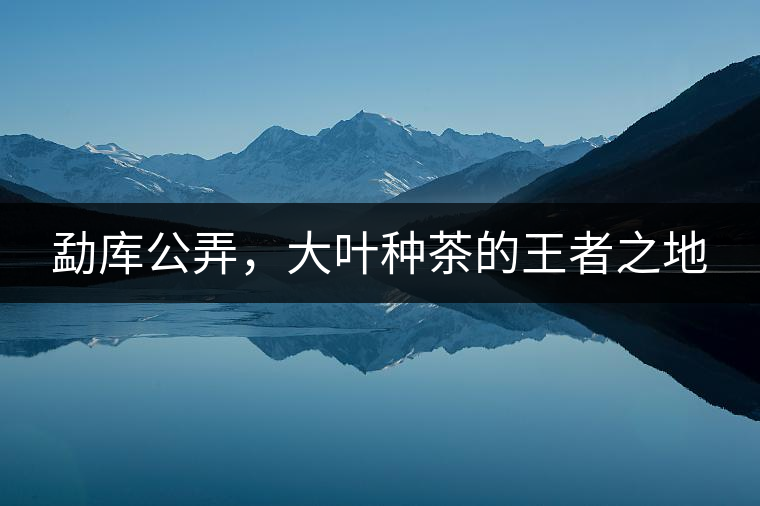 勐庫(kù)公弄，大葉種茶的王者之地