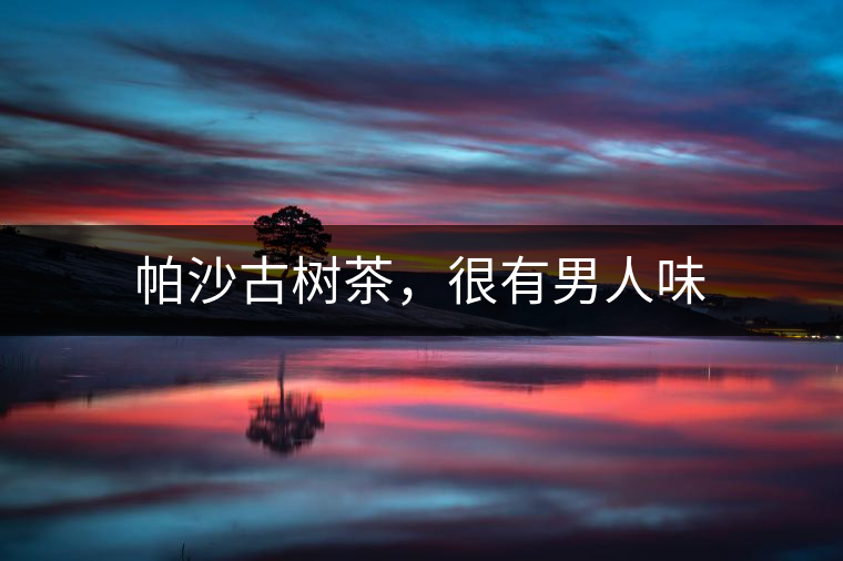 帕沙古樹(shù)茶，很有男人味