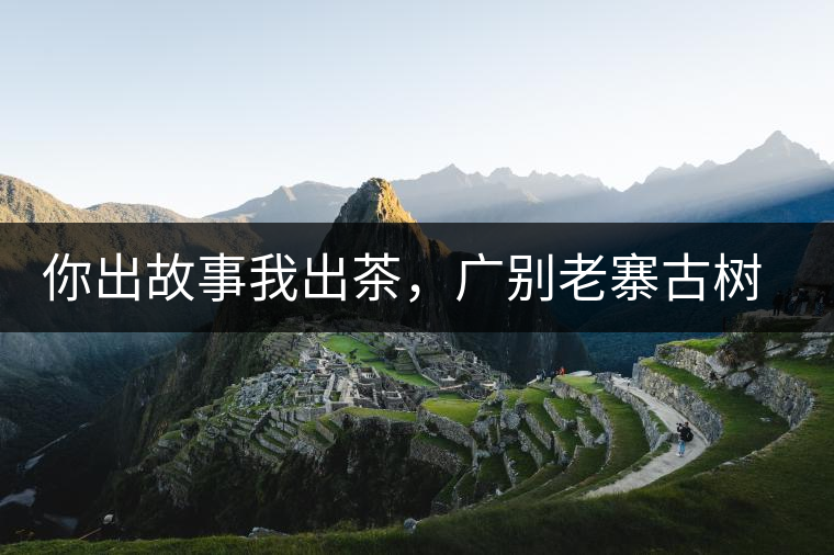 你出故事我出茶，廣別老寨古樹(shù)妖茶