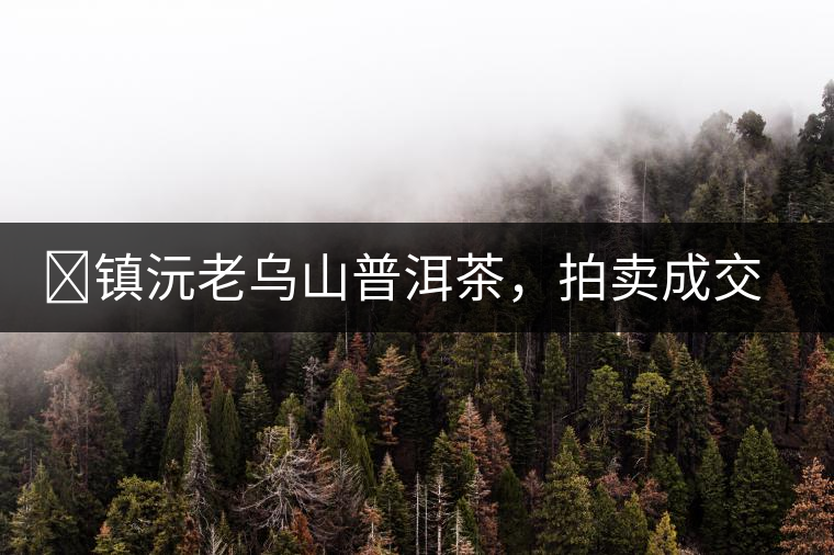 ?鎮(zhèn)沅老烏山普洱茶，拍賣成交價再創(chuàng)新高