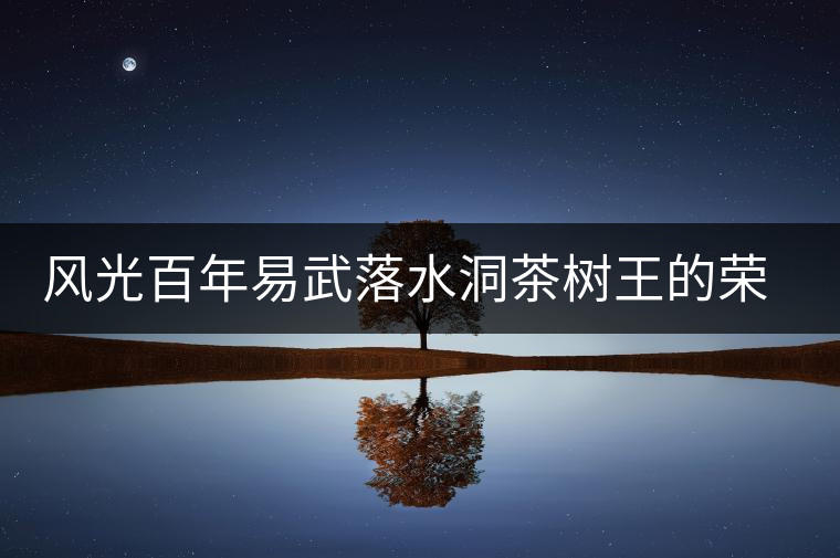 風光百年易武落水洞茶樹王的榮耀與衰亡 風光百年易武落水洞茶樹王的榮耀與衰亡