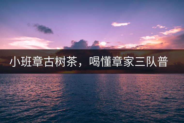 小班章古樹茶，喝懂章家三隊普洱茶