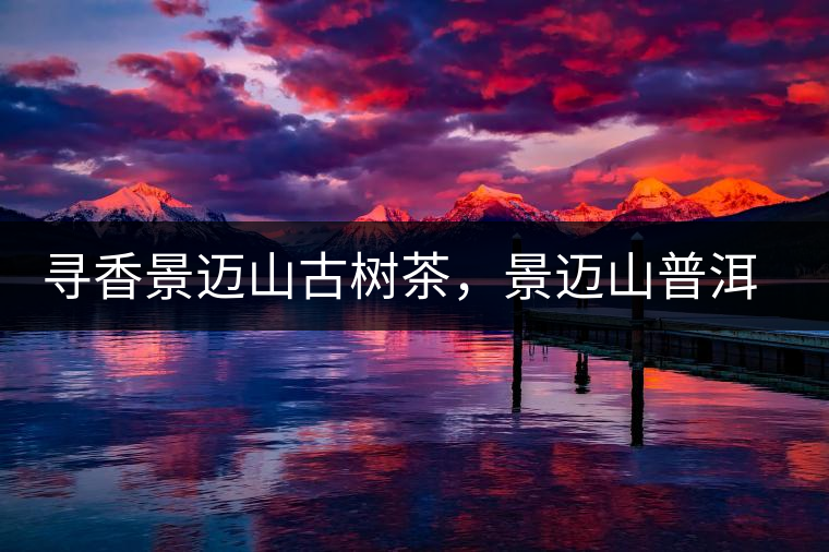 尋香景邁山古樹茶，景邁山普洱茶特點(diǎn)介紹