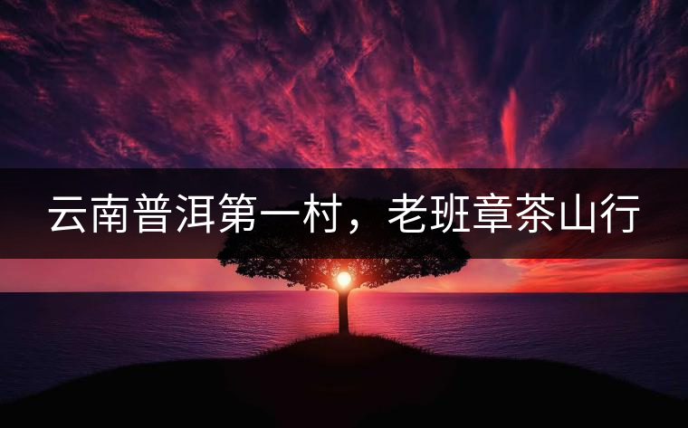 云南普洱第一村，老班章茶山行