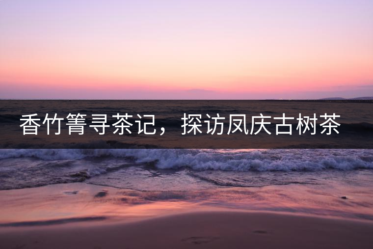 香竹箐尋茶記，探訪鳳慶古樹茶山