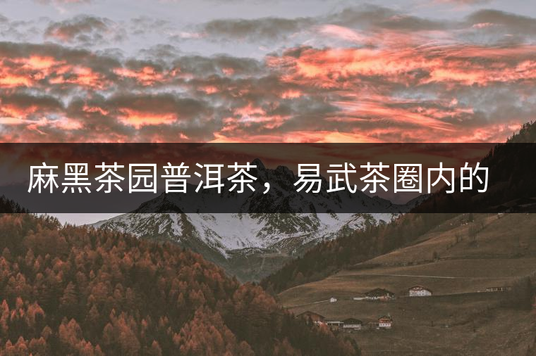 麻黑茶園普洱茶，易武茶圈內(nèi)的翹楚