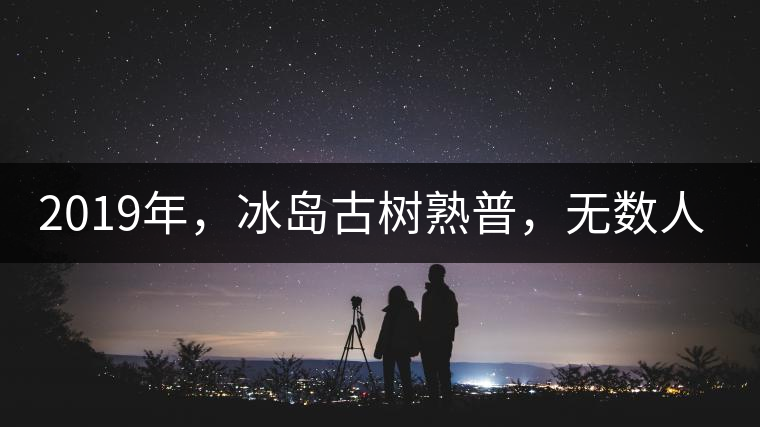 2019年，冰島古樹熟普，無數(shù)人在尋找