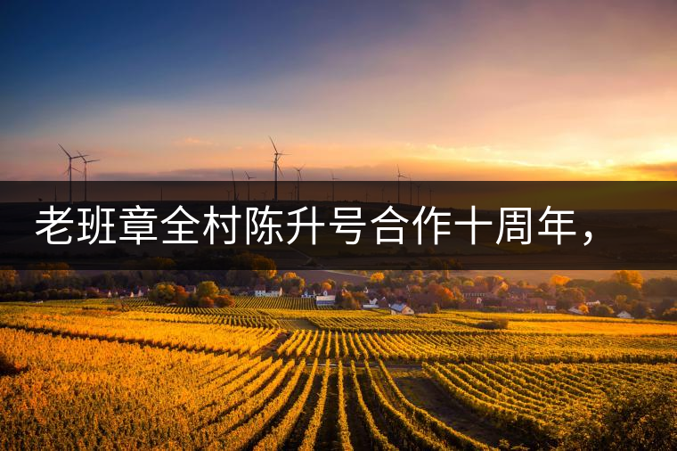 老班章全村陳升號(hào)合作十周年，贈(zèng)送千兩百家茶