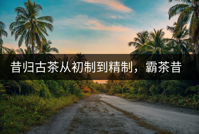 昔歸古茶從初制到精制，霸茶昔歸茶農(nóng)專業(yè)合作社成立