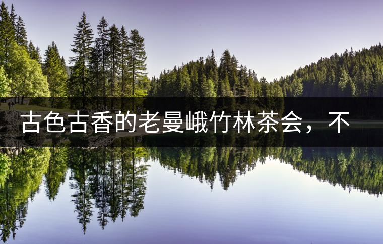 古色古香的老曼峨竹林茶會，不一樣的古樹茶