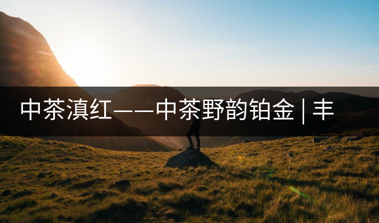 中茶滇紅——中茶野韻鉑金 | 豐苗挺秀，山野花香