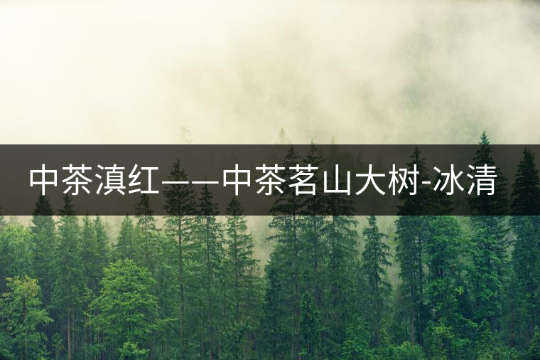 中茶滇紅——中茶茗山大樹(shù)-冰清紅袖②號(hào) 中茶滇紅——中茶茗山大樹(shù)-冰清紅袖②號(hào)